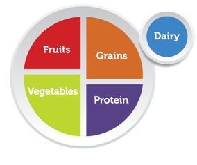 Food Plate